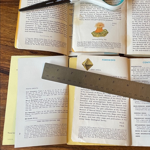 13 GOLDEN GUIDE Vintage Reference Books: Shells Fossils Spiders Trees Rocks MORE - Picture 8 of 15